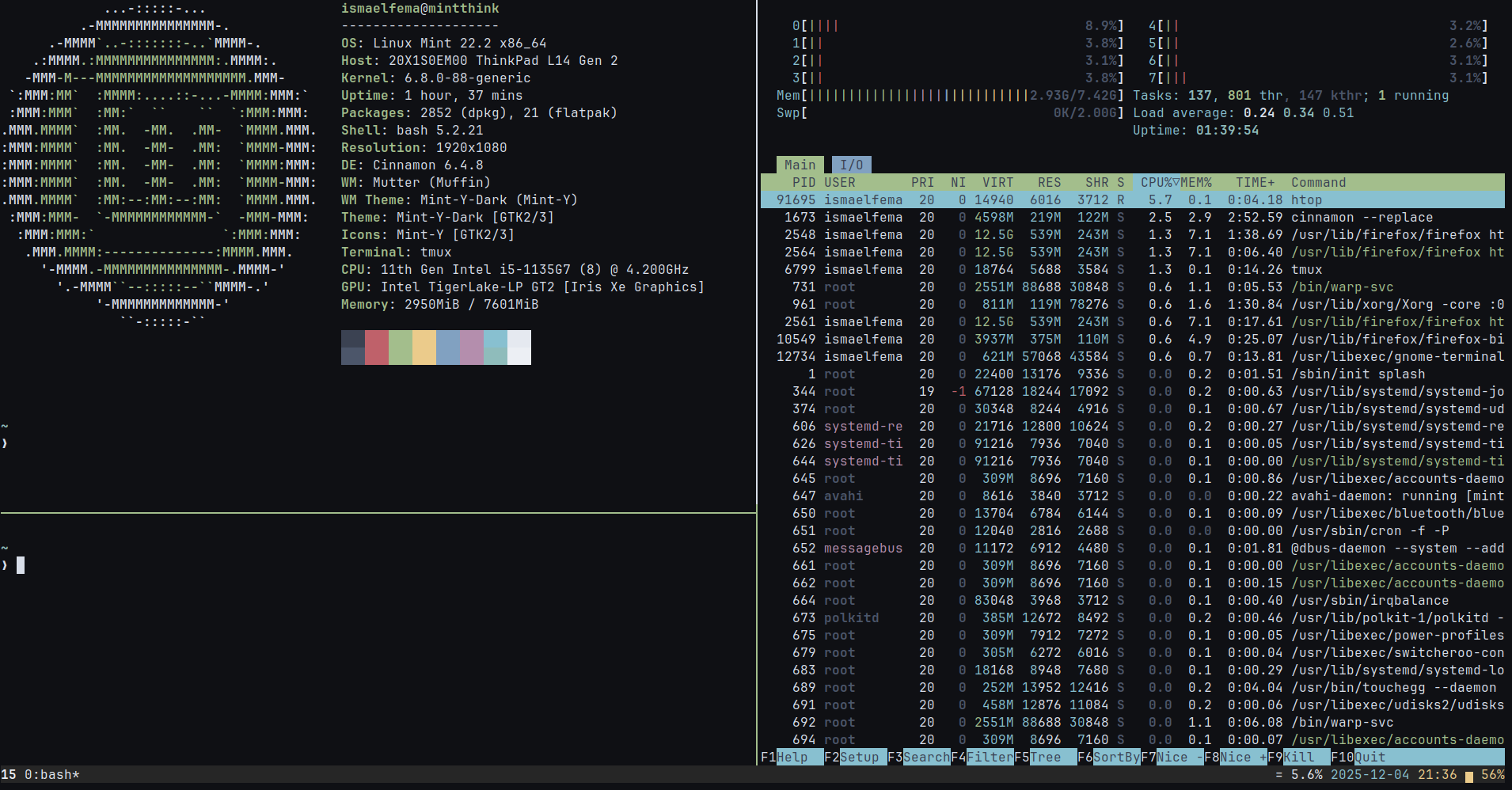 Mi terminal personalizado