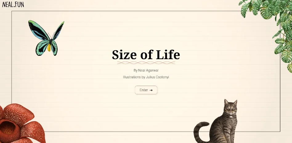 Size of life